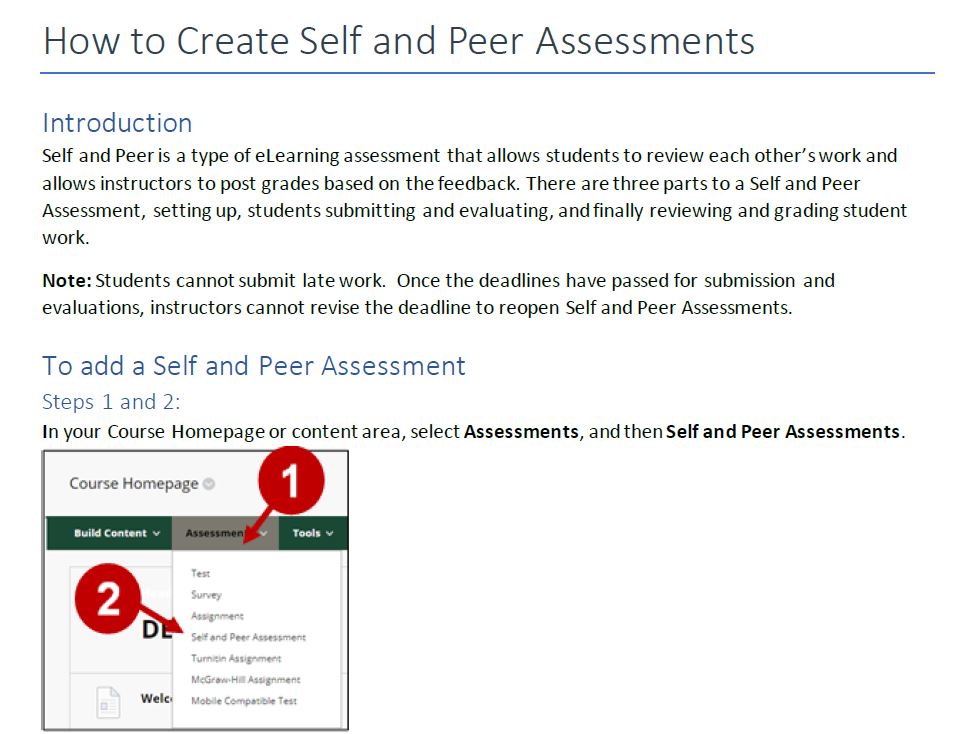 screen capture of self peer review handout with introduction and steps with instructions and images.